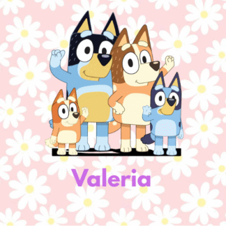 Pack Etiquetas
